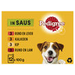 Pedigree in Saus